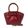 NEW! Teri Tote & Crossbody